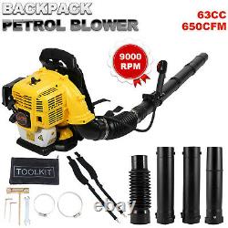 2.1KW Backpack Powerful Blower Gas Leaf Blower 63CC 2-stroke Motor Gas 650 CFM