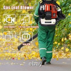2-Cycle Backpack Gas Leaf Blower Gasoline Blower 530CFM 52CC 2-stroke Engine US