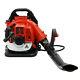 2Strokes Engine Gas-powered Backpack Blower Gas Leaf Blower 1.25KW 42.7CC 720? /h