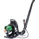 4-Stroke Backpack Leaf Blower Gas 37.7cc 1.5HP 580CFM Super Light Weight 16.5lbs