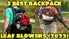 5 Best Backpack Leaf Blowers In 2022 Worthy Backpack Blowers For Fall