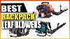 5 Best Backpack Leaf Blowers Reviewed 2023