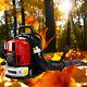50CC Full Crank 2-Cycle Gas Engine Backpack Leaf Blower with Tube 530CFM 248MPH