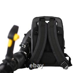 52CC 2-Cycle Gas Backpack Leaf Blower, Cordless, Extended Tube, Black & Yellow