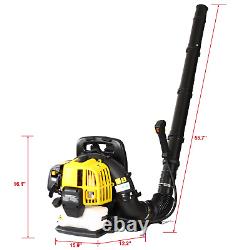 52CC 2-Cycle Gas Backpack Leaf Blower, Cordless, Extended Tube, Black & Yellow