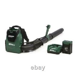 580 CFM 80V Variable Speed Brushless Cordless Backpack Leaf Blower Lawn Sweeper