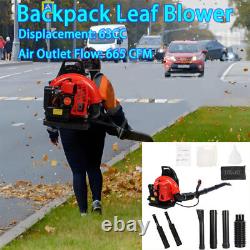 63CC Gas Powered Backpack Leaf Blower, 665CFM 2-Stroke Snow Blower, Leaf Blower