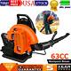 63cc 2-Stroke 665CFM 300MPH Gasoline-Powered Cordless Backpack Snow Leaf Blower