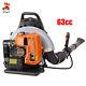 65 CC 2 Stroke Backpack Gas Powered Leaf Blower Commercial Grass Lawn Blower