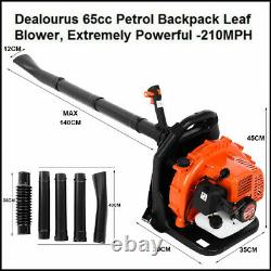 65cc 2 Stroke 3.2HP Gas Cordless Backpack Leaf Blower With Padded Harness 2.3KW