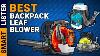 7 Best Backpack Leaf Blowers Reviews In 2020 Top Rated