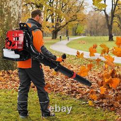 Backpack Gas Leaf Blower Snow Blower 75.6CC 4-Stroke Up to 750 CFM and 210 MPH