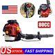Backpack Leaf Blower Gas Powered Snow Blower 900CFM 80CC 2-Stroke 3500W USA