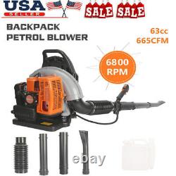 Backpack Leaf Blower Gas Powered Snow Blower Set 665CFM 63CC 2-Stroke Engine USA