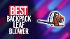 Best Backpack Leaf Blower In 2022 Top 5 Picks For Any Budget