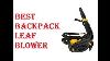 Best Backpack Leaf Blower Review