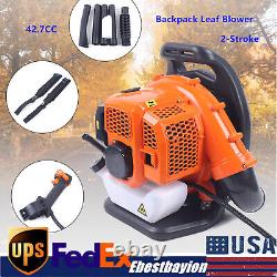 Commercial Gas Leaf Blower Backpack 2 Strokes 42.7CC Gas-powered Backpack Blower