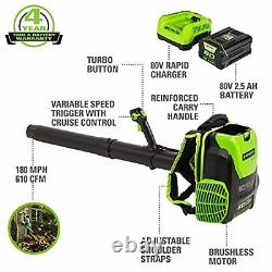 Cordless Backpack Wet / Dry Leaves Leaf Blower 2.5Ah + Battery &Charger Pro 80V