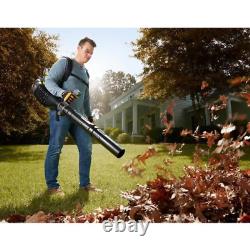 Cordless Battery Backpack Leaf Blower with 5.0 Ah Battery Charger 625 CFM
