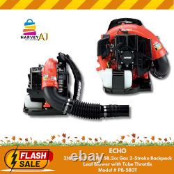 ECHO PB-580T 58.2 CC Gas 2-Stroke Backpack Leaf Blower with Tube Throttle