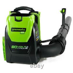 GreenWorks 2404802 80-Volt 2.5Ah 580-Cfm Axial Fan Brushless Backpack Blower Kit