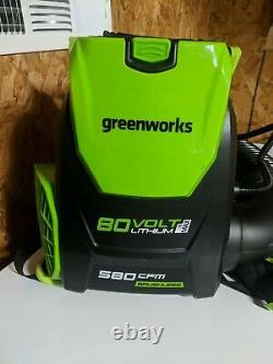 GreenWorks 80V 145MPH/580CFM Cordless Backpack Leaf Blower