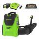 Greenworks 780CFM Backpack Blower with 4Ah Battery, Rapid Charger, and Leaf