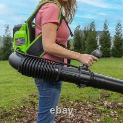 Greenworks 780CFM Backpack Blower with 4Ah Battery, Rapid Charger, and Leaf