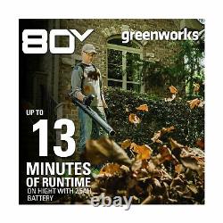 Greenworks 80V 145MPH 580CFM Cordless Backpack Leaf Blower Included BPB80L00