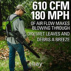 Greenworks Pro 80V (180 MPH / 610 CFM) Cordless Backpack Leaf Blower, 2.5Ah Batt