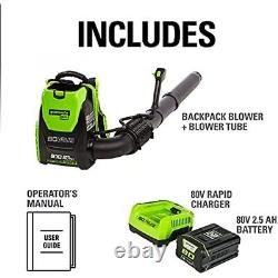 Greenworks Pro 80V Cordless Backpack Leaf Blower, 2.5Ah Battery Charger