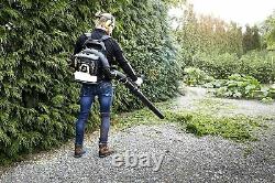 McCulloch GB 355 BP Backpack Leaf Blower Leaf Blower/Garden Vacuum with 1500 W