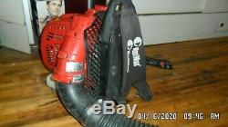 Redmax Red Max Backpack Back Pack Leaf Blower EBZ5150 TESTED