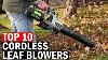 Top 10 Best Cordless Leaf Blowers In 2020 2021
