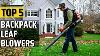 Top 5 Best Backpack Leaf Blowers Clean Up Your Yard With A Top Notch Backpack Blower