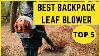 Top 5 Best Backpack Leaf Blowers In 2022 Reviews U0026 Buyers Guide