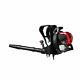 Troy-Bilt TB4BP 32cc 4 Cycle Gas Powered Backpack Leaf Blower with SpringAssist