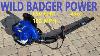 Wild Badger 43cc Backpack Leaf Blower Review